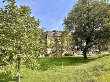 GÜNSTIGE GELEGENHEIT- Anlegerwohnung zum Bestpreis - bild