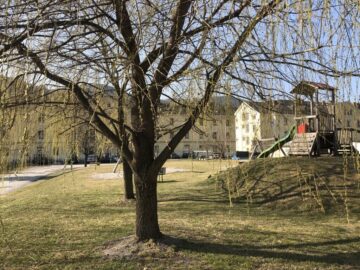 GELEGENHEIT- Vermietete Anlegerwohnung am Lindenpark zum Bestpreis - bild
