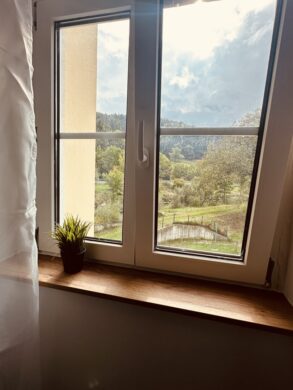 Vollausgestattete Wohnung in Bestlage - bild