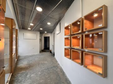 Exklusives Geschäftslokal in der Innenstadt von Wiener Neustadt – 77 m² – Toplage für Handel & Investment - bild