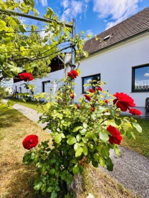 Einfamilienhaus mit ländlichem Flair und vielseitigem Potenzial in Wartmannstetten - bild