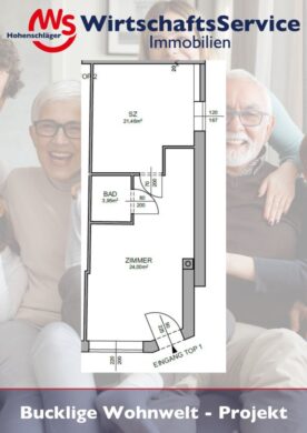 Anlegerwohnung - befristet vermietete Wohnung mit 43 m² (Top 1) in Wiesmath - bild