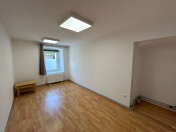 Sonnige, ebenerdige Mietwohnung im Zentrum von Neunkirchen! - bild
