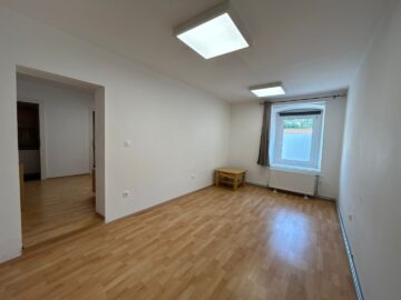 Sonnige, ebenerdige Mietwohnung im Zentrum von Neunkirchen! - bild