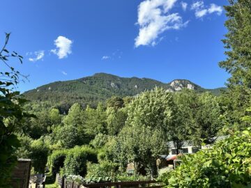 36 m² Anlegerwohnung mit Balkon in Payerbach - bild