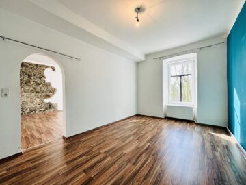 Anlageobjekt - Vermietete Erdgeschosswohnung in Payerbach gelangt zum Verkauf! - bild