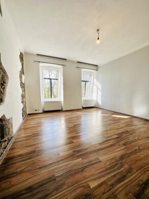 Anlageobjekt - Vermietete Erdgeschosswohnung in Payerbach gelangt zum Verkauf! - bild