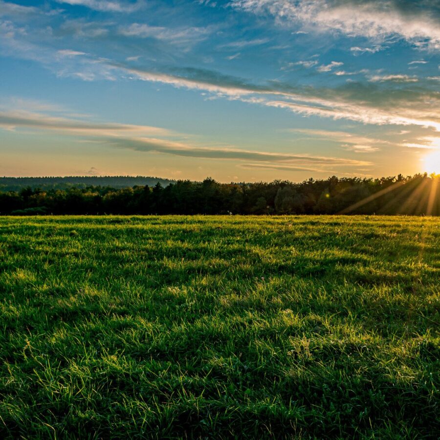 Ackerland in der Region 2620 – Ideale landwirtschaftliche Nutzfläche zu kaufen - titelbild