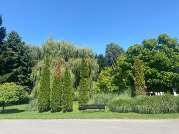 Entzückendes Ferienhaus am Römersee - bild