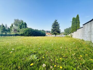 2811 Wiesmath - Eigennutzen oder Rendite - Tolle Erdgeschosswohnung mit 43 m² und allgemeinen Garten (Top 1) in Wiesmath - bild