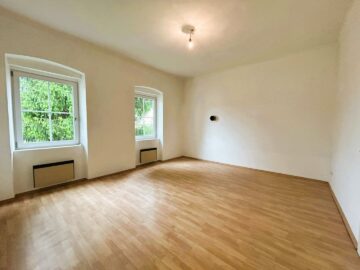 Charmant. Modern. Ebenerdig. – Ihre neue Wohnung inkl. Gartennutzung in Bad Sauerbrunn wartet!!! - bild