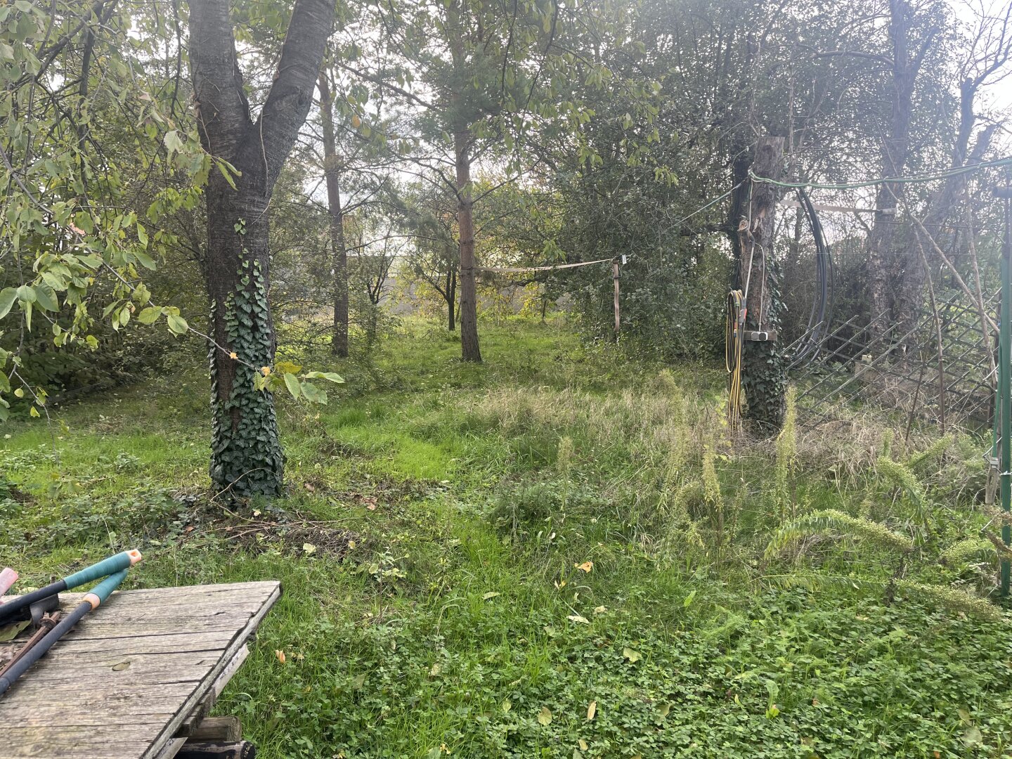 Oberlaa – Baugrundstück mit Altbestand und viel Potenzial, 1100 Wien, Wohngrundstück