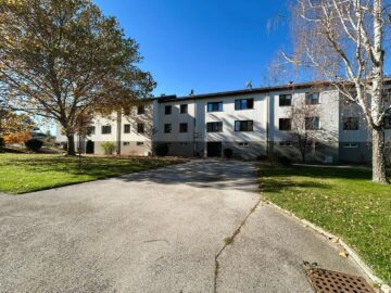 Großzügige 3-Zimmer-Wohnung mit Loggia und Parkplatz in Natschbach – ab Jänner 2026 beziehbar! - bild