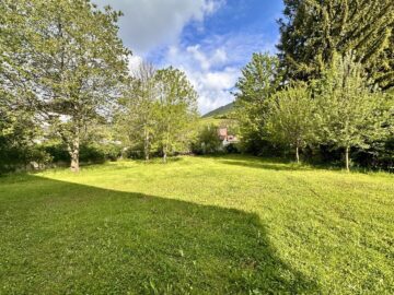 Wohnen, wo andere Urlaub machen – Charmantes Haus mit großem Garten in Puchberg am Schneeberg! - bild