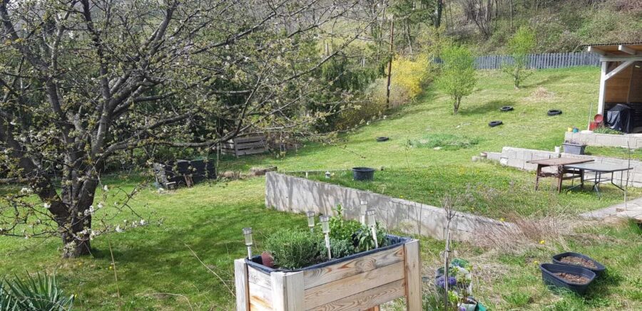 Zwei Wohneinheiten mit eigenem Wald – Naturparadies in Gloggnitz! - titelbild