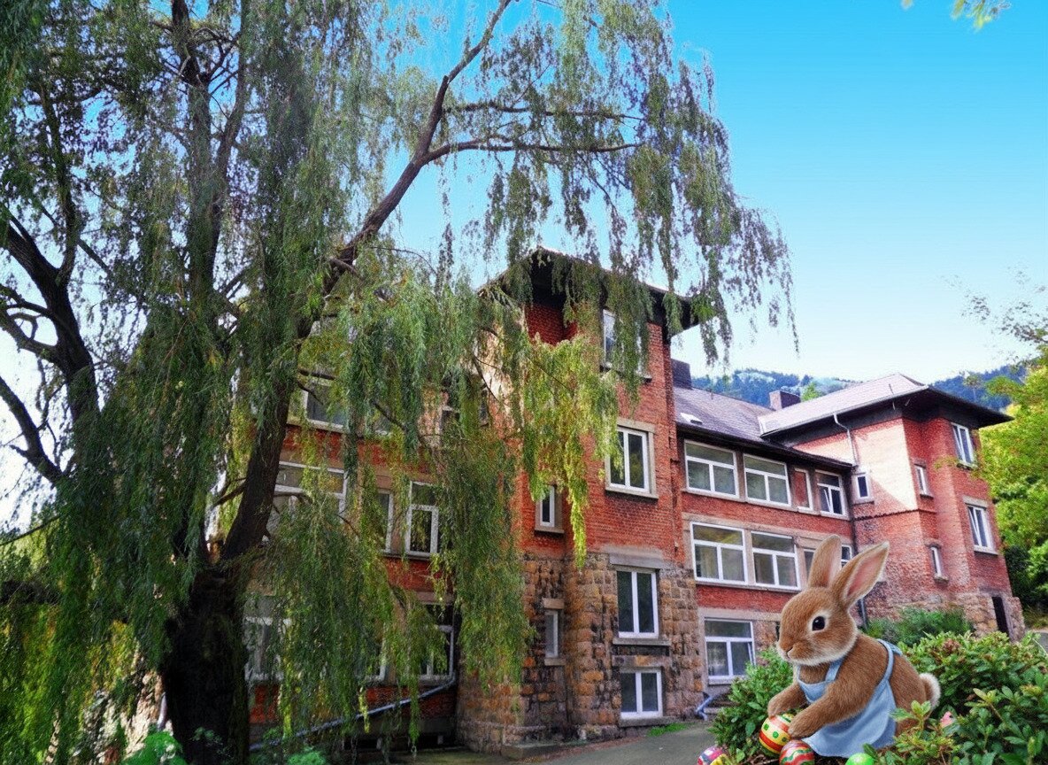 Sonnige Mietwohnung in Grünbach am Schneeberg!, 2733 Grünbach am Schneeberg, Wohnung