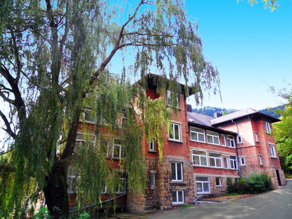 Sonnige Mietwohnung in Grünbach am Schneeberg!, 2733 Grünbach am Schneeberg, Wohnung