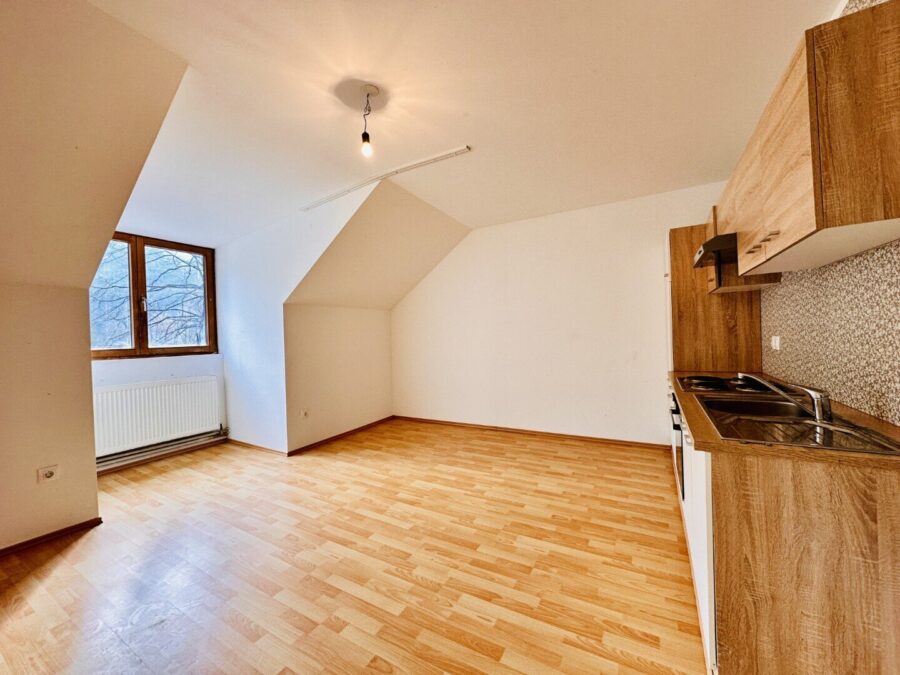 Wohnung mit Garten - 6 Minuten von Ternitz. Mit eigener Bushaltestelle! - titelbild