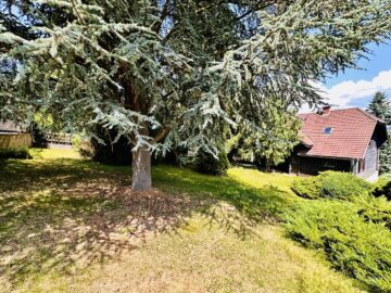 Landhaus mit großem Garten in ruhiger Lage - bild