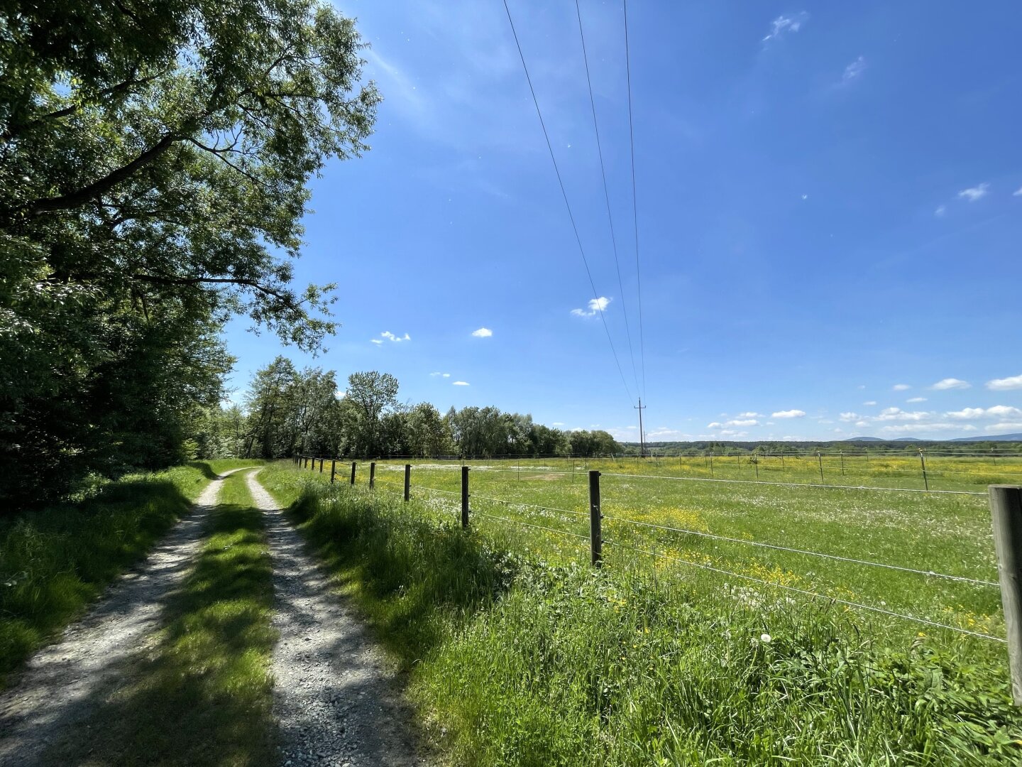 Top gepflegte Reitanlage im idyllischen Südburgenland – Verwirklichen Sie Ihren Traum!, 7411 Buchschachen, Land-/Forstwirtschaft