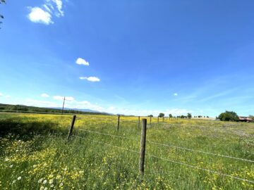 Top gepflegte Reitanlage im idyllischen Südburgenland – Verwirklichen Sie Ihren Traum! - bild