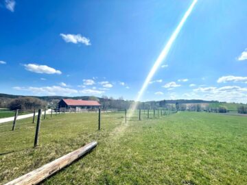 Top gepflegte Reitanlage im idyllischen Südburgenland – Verwirklichen Sie Ihren Traum! - bild