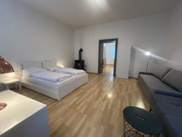 Ready for Airbnb- Fixfertig ausgestattete Wohnung im Zentrum - bild