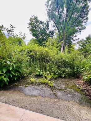 Sanierungsbedürftige Erdgeschosswohnung mit Gartenzugang im Zentrum von Reichenau an der Rax – 65 m² mit viel Potenzial - bild