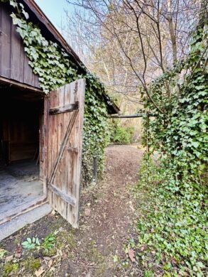 Geräumiges Einfamilienhaus mit Garten und Nebengebäude am Stadtrand von Gloggnitz – sofort verfügbar - bild