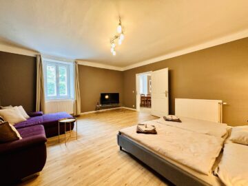 Gemütliche 2-Zimmer-Wohnung im Erdgeschoss im Herzen von Reichenau an der Rax - bild