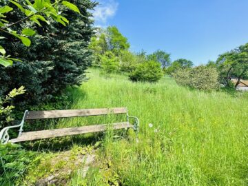 Baugrundstück mit 923 m² (südöstlich ausgerichtet) zum Kauf in Mürzzuschlag! - bild