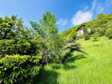 Baugrundstück mit 923 m² (südöstlich ausgerichtet) zum Kauf in Mürzzuschlag! - bild