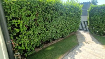 Gartenwohnung in absoluter Ruhelage in Leobersdorf - bild