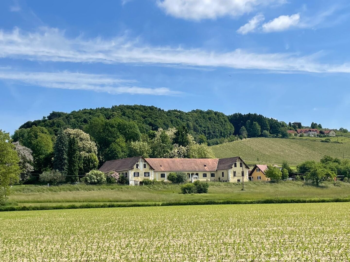 Traumhaftes Anwesen in herrlicher Aussichtslage – Ehemaliger Meierhof von 1901 gelangt zum Verkauf!, 8271 Bad Waltersdorf, Haus
